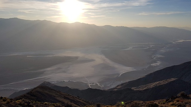 Kunderne jubler: Dolk.dk topper trustpilot med 4.9 ud af 5