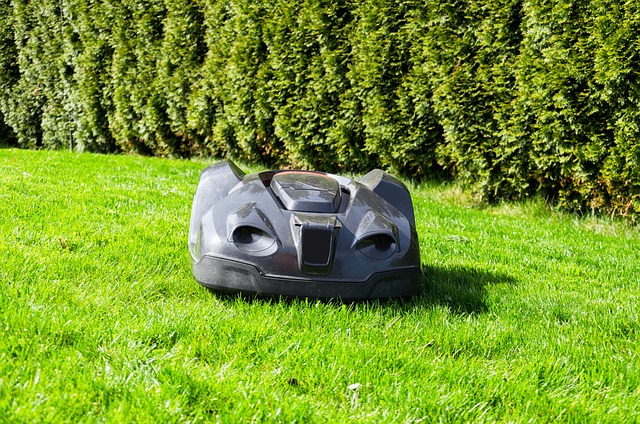 Guide: Sådan vælger du den rette Einhell Robotplæneklipper til din have