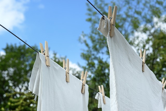 5 grunde til at du bør investere i en vasketøjspose