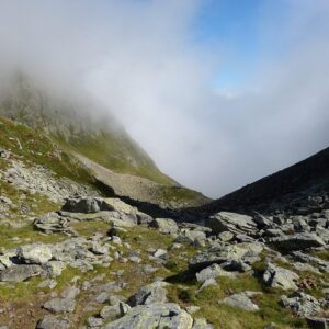 Sunde madpakker, glade børn – inspiration til travle hverdage