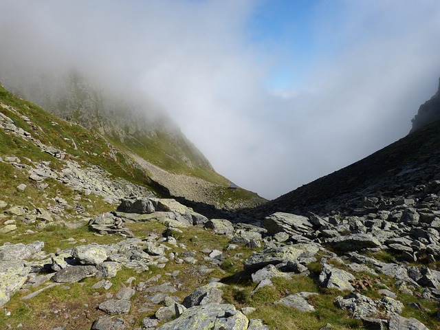 Sunde madpakker, glade børn – inspiration til travle hverdage