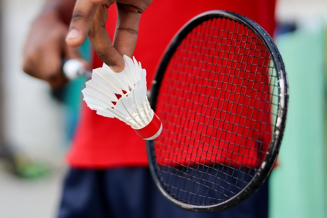 Badminton ketcher - en gave der kan hjælpe med at forbedre hans helbred og velvære